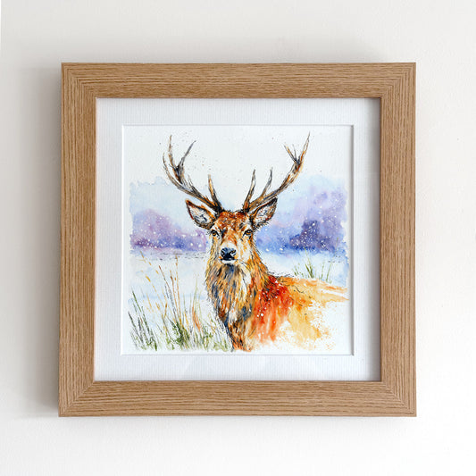 The Winter Stag - Framed Print