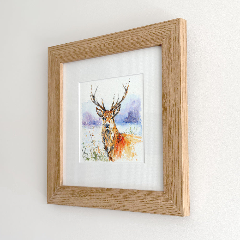 The Winter Stag - Framed Print