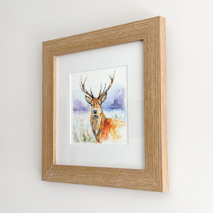 The Winter Stag - Framed Print
