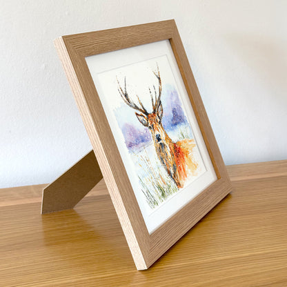 The Winter Stag - Framed Print
